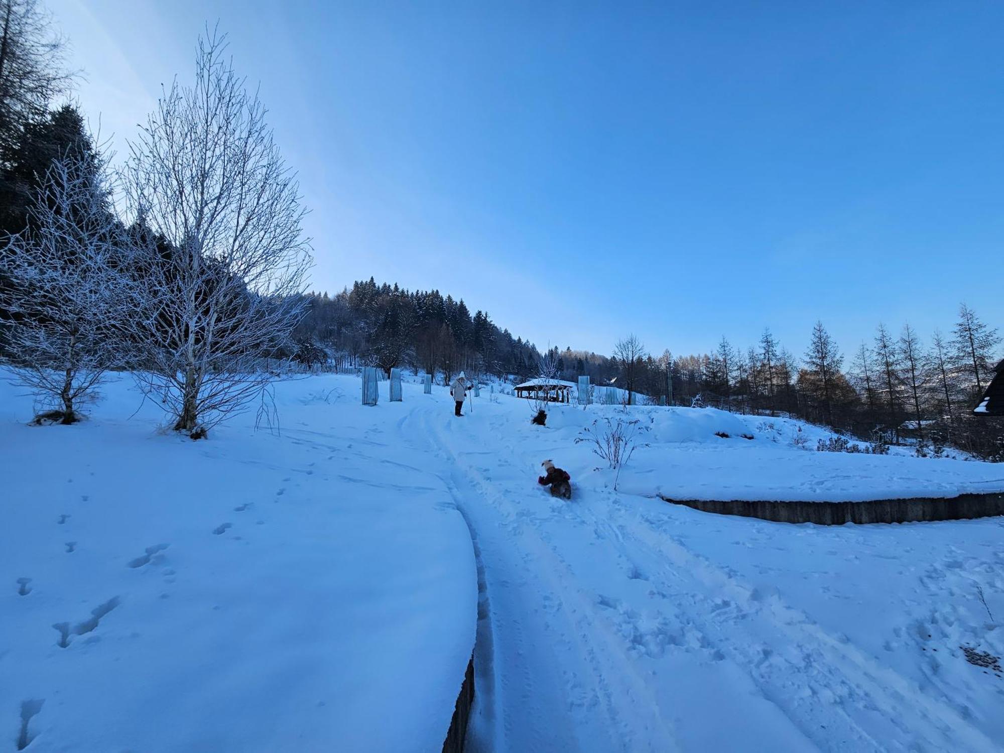 Otulina Park Szczawnica Exterior foto