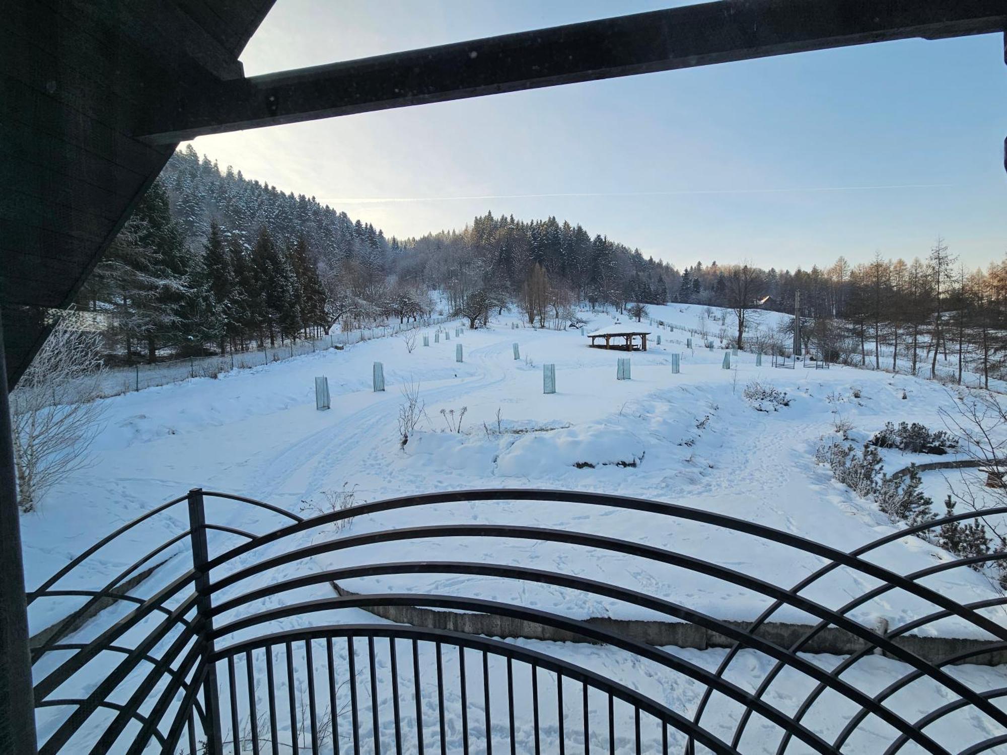 Otulina Park Szczawnica Exterior foto