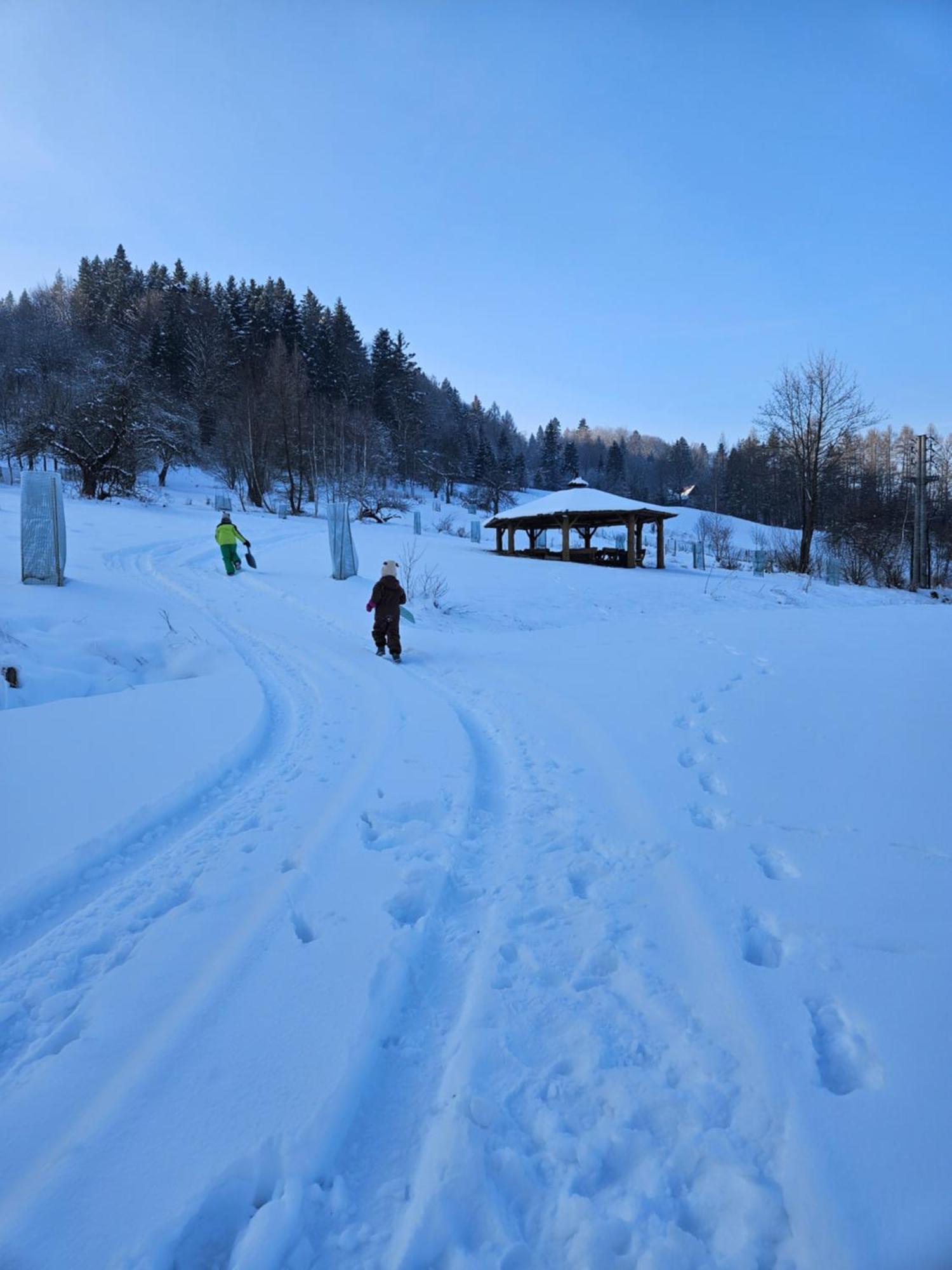 Otulina Park Szczawnica Exterior foto