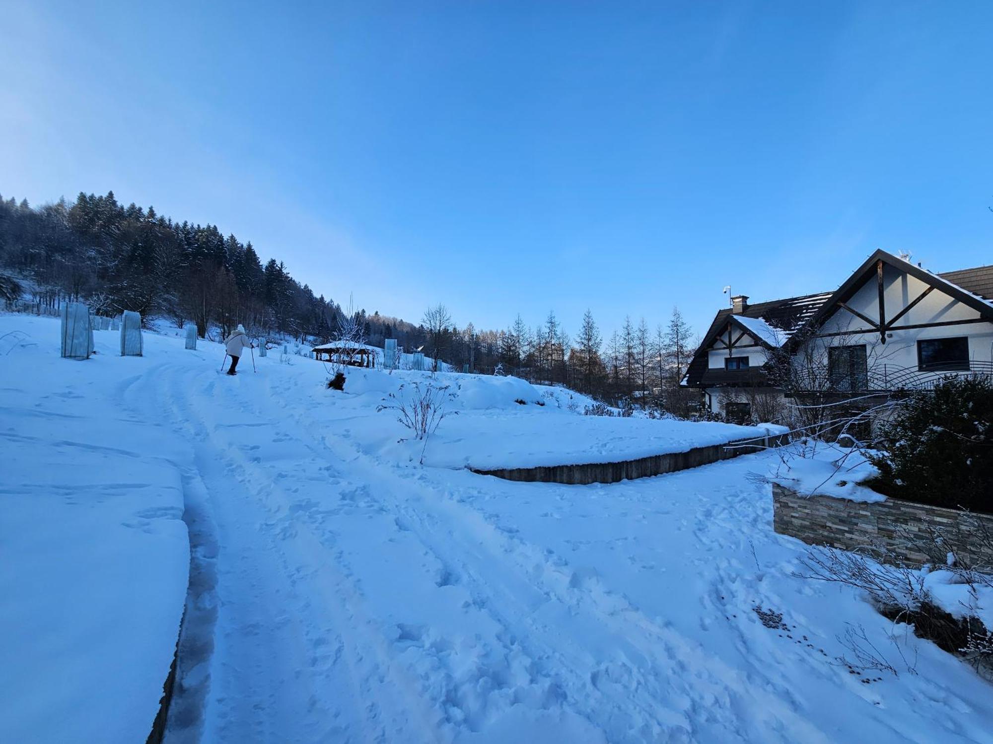 Otulina Park Szczawnica Exterior foto