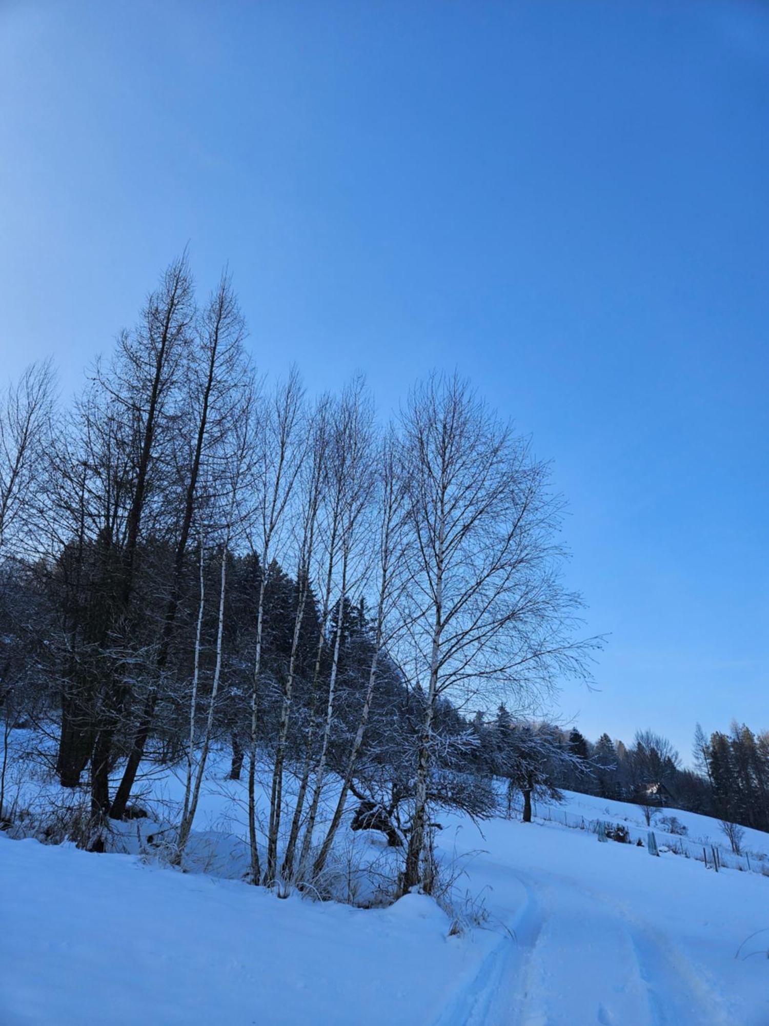 Otulina Park Szczawnica Exterior foto