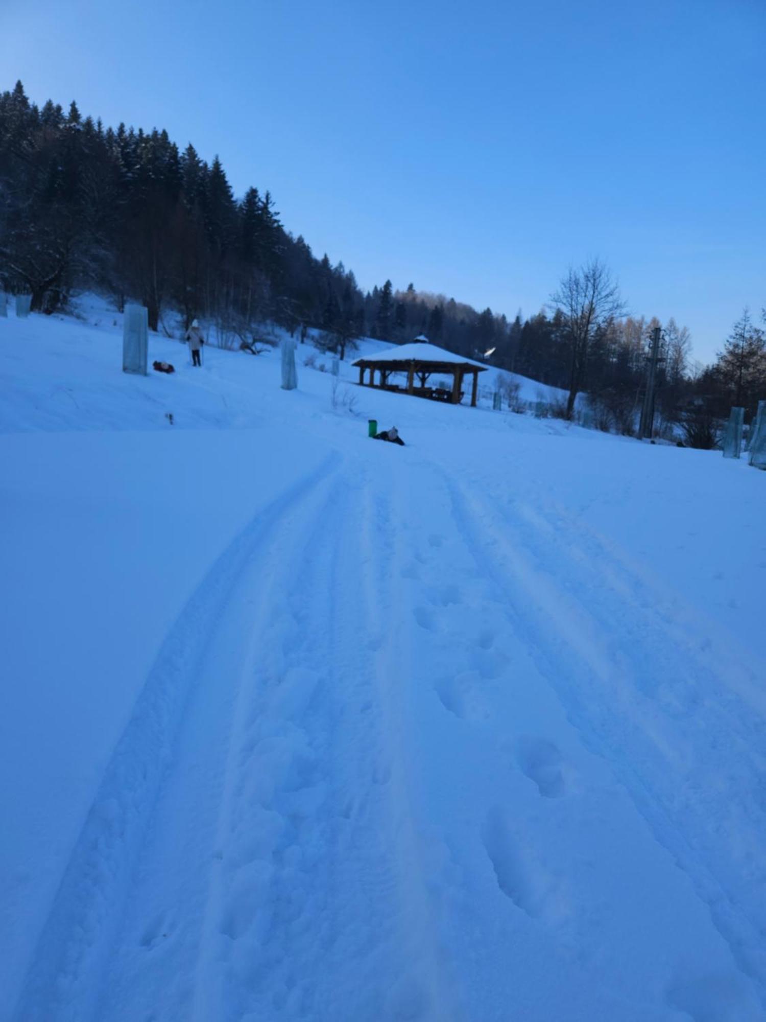 Otulina Park Szczawnica Exterior foto